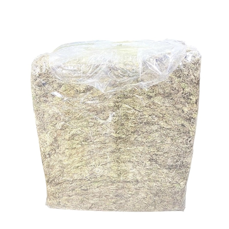 Sphagnum Moss Dry - 5KG Sphagnum Moss Bulk Compressed Dried