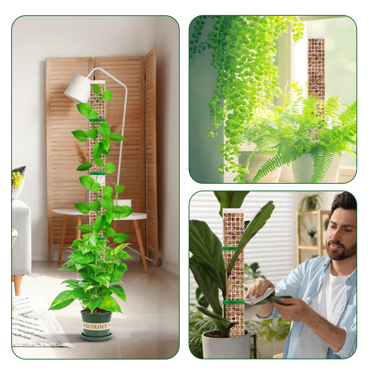 Stackable Plastic Moss Pole fo - Sphagnum Moss Dry recension och pris
