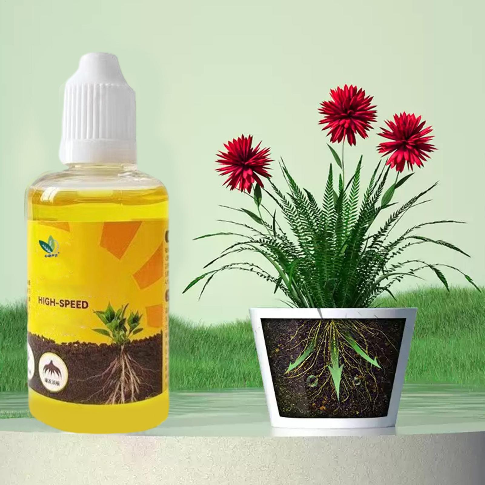 Plant Rooting Stimulator Liqui - Root Stimulator Liquid recension och pris