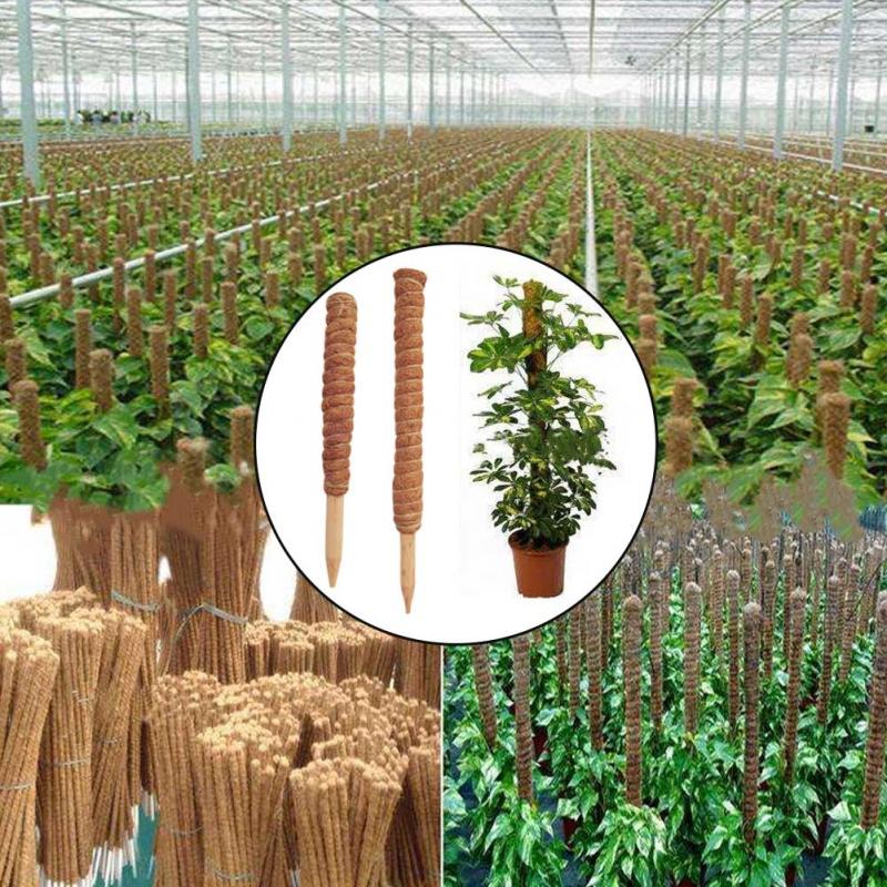30/40/50cm Plant Climbing Coir - Sphagnum Moss Dry recension och pris