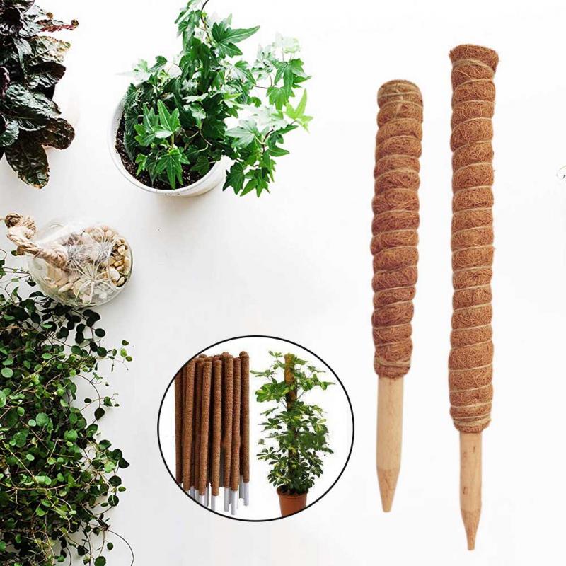 30/40/50cm Plant Climbing Coir - Sphagnum Moss Dry recension och pris